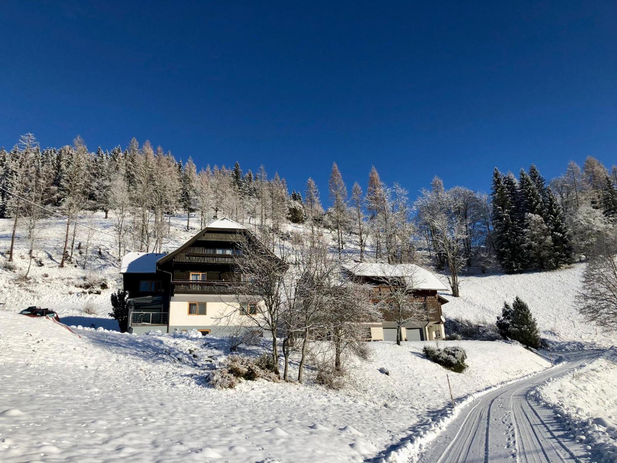 Appartement Vidmar-Ferienglueck Arriach エクステリア 写真