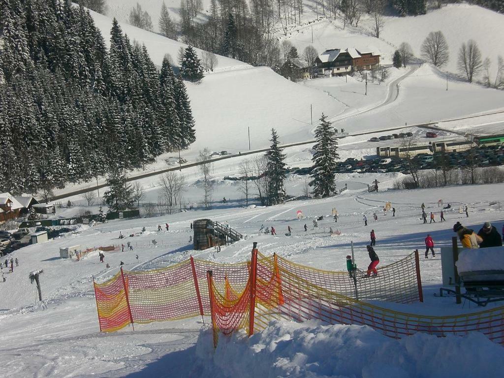 Appartement Vidmar-Ferienglueck Arriach エクステリア 写真