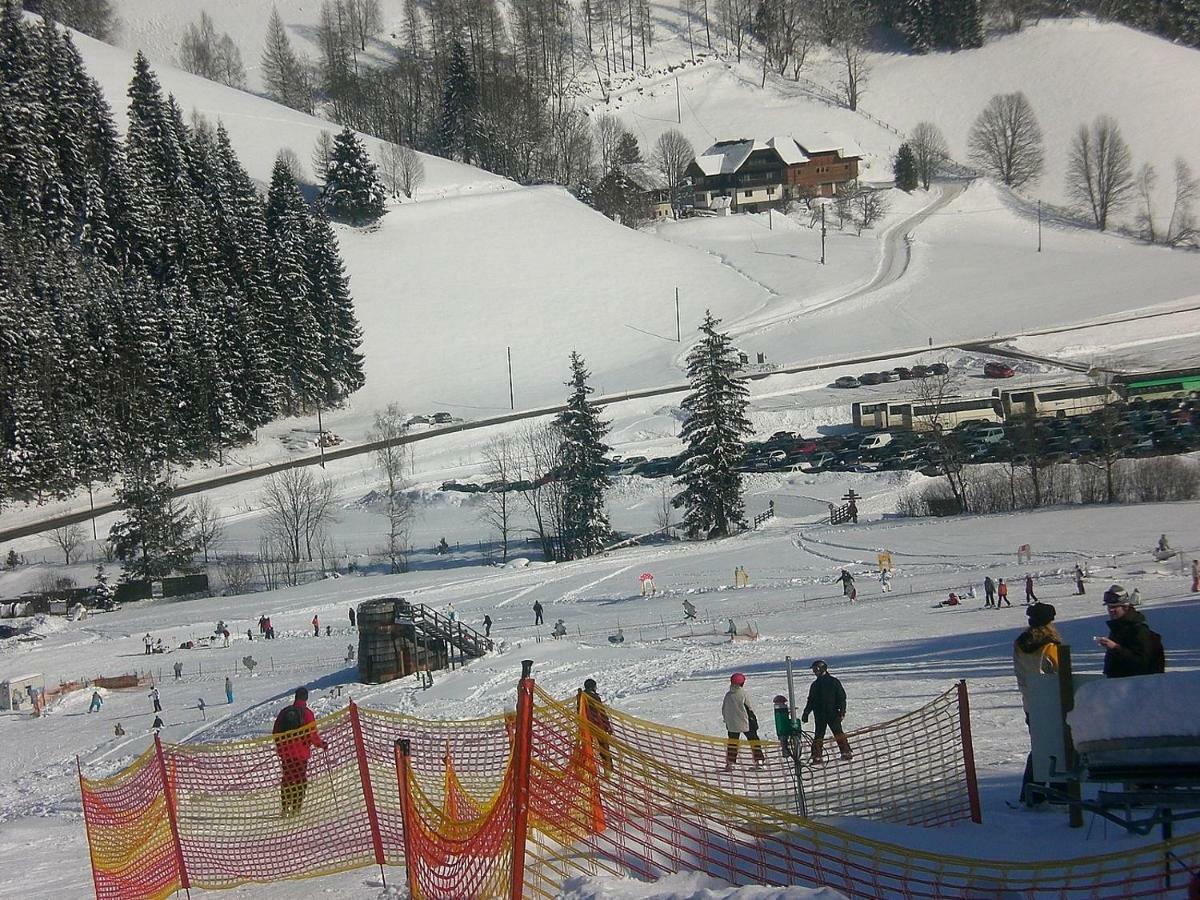 Appartement Vidmar-Ferienglueck Arriach エクステリア 写真